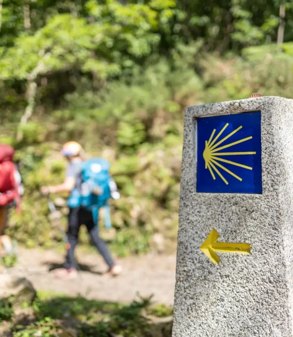 como-reservar-albergue-almerteira